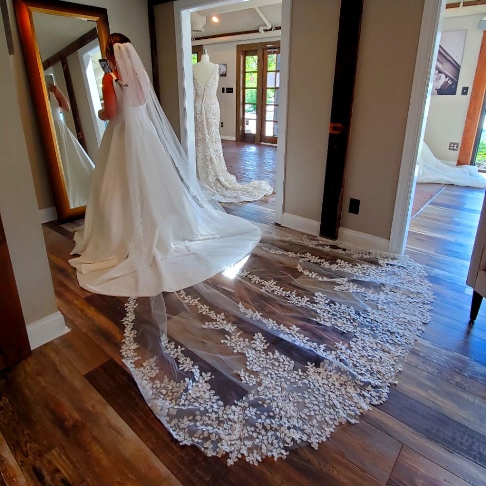 Lazaro Olivia Veil (Cathedral)